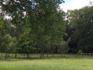 Vente Terrain Bonnetan 33370 800 m2