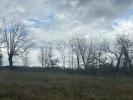 Vente Terrain Artigues-pres-bordeaux 33370 738 m2