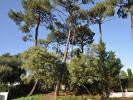 Vente Maison Arcachon 33120 5 pieces 140 m2