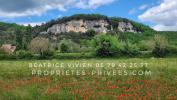 Vente Maison Eyzies 24620 4 pieces 110 m2