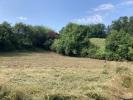 Vente Terrain Vienne 38200 703 m2