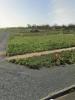 Vente Terrain Thou 17290 261 m2