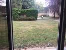Location Appartement Lyon-8eme-arrondissement 69008 2 pieces 47 m2