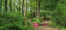Vente Terrain Brignoles 83170 4445 m2
