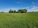 Vente Terrain Saint-pierre-de-mons 33210 1388 m2