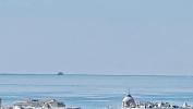 Vente Appartement Nice 06000 3 pieces 80 m2