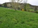 Vente Terrain Saint-didier-au-mont-d'or 69370