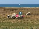 Vente Appartement Wimereux 62930 3 pieces 67 m2