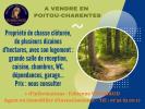 Vente Prestige Bordeaux 33000 4 pieces 360 m2
