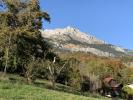 Vente Maison Passy 74190 5 pieces 122 m2