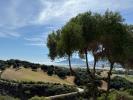 Vente Appartement Bastelicaccia BASTELICACCIA 20129 3 pieces 85 m2