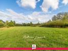 Vente Terrain Pruniers-en-sologne 41200 4967 m2