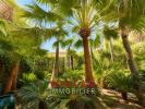 Vente Appartement Antibes 06600 3 pieces 43 m2