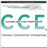 votre agent immobilier C C E - CANNES COMMERCES ENTREPRISES