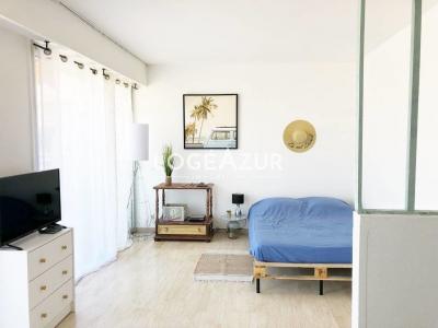 photo Rent for holidays Apartment CAGNES-SUR-MER 06