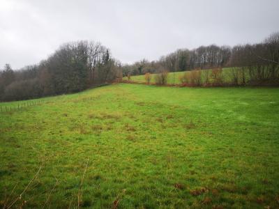 For sale Land SADROC  19