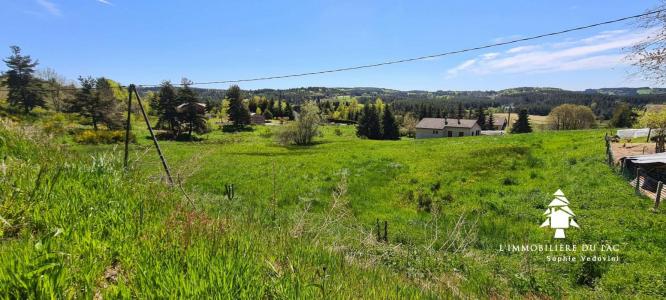 For sale Land CHAMBON-SUR-LIGNON  43