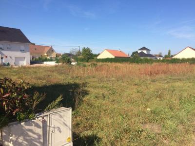 photo For sale Land CIRY-LE-NOBLE 71