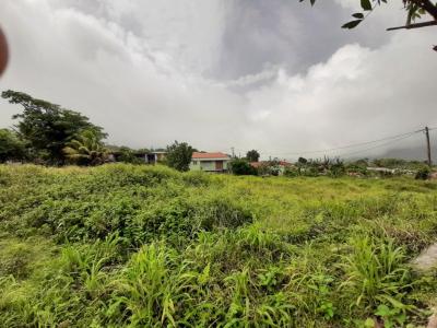 photo For sale Land MORNE-ROUGE 972