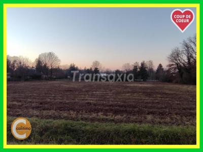 photo For sale Land GUERCHE-SUR-L'AUBOIS 18