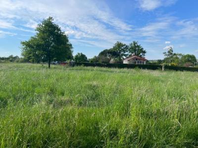 For sale Land NERVIEUX  42