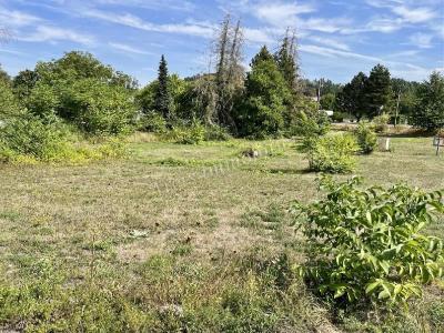 photo For sale Land CONNANTRE 51