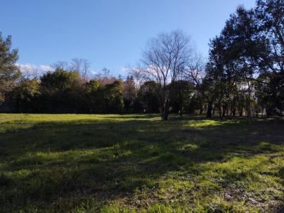 photo For sale Land NOE 31