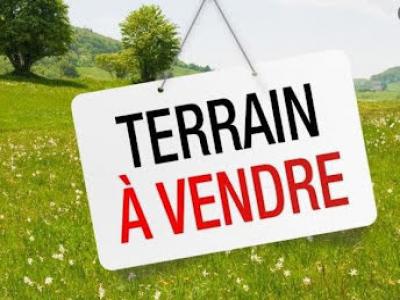 Vente Terrain SAINT-SULPICE-DE-ROYAN  17