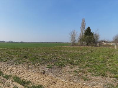 Vente Terrain LONGUEVILLE-SUR-SCIE 76590