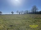 For sale Land Chenerailles  23130 3053 m2