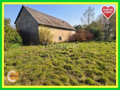 Vente Maison 8 pices HENRICHEMONT 18250