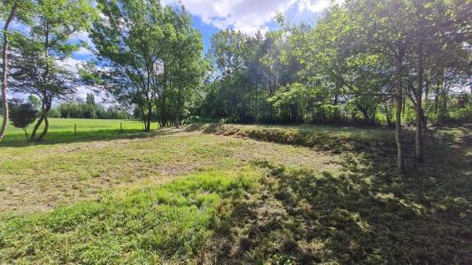 Vente Terrain MOUTIERS-SUR-LE-LAY  85