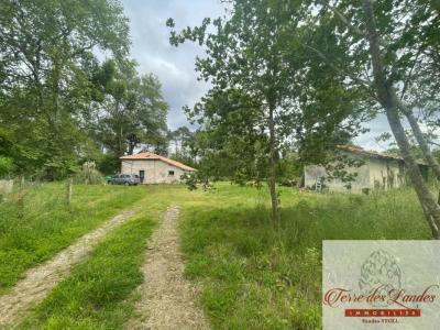 Vente Maison 5 pices SAUGNACQ-ET-MURET 40410