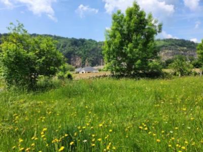 For sale Land ALBIGNAC AUBAZINE 19