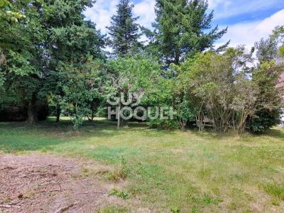 photo For sale Land SEIGNELAY 89