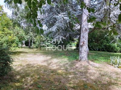 For sale Land SEIGNELAY  89