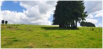 Acheter Maison Tauves Puy de dome