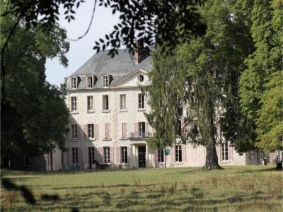 For sale Prestigious house ISLE-SUR-SEREIN  89