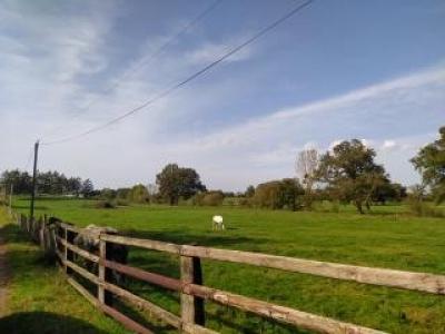 photo For sale Land VAIGES 53