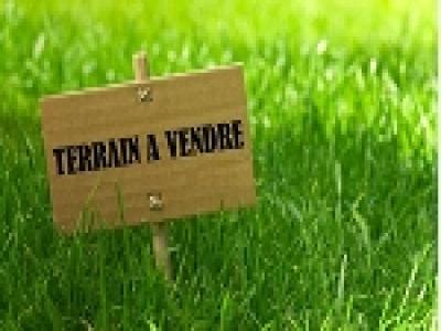 Vente Terrain VRAUX 51150