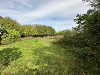 For sale Land SOUPPES-SUR-LOING  77