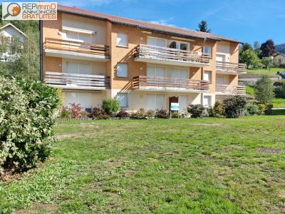 Vente Appartement VENTRON  88