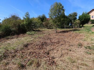 Vente Maison POUILLEY-LES-VIGNES 