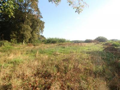 photo For sale Land SAINT-GEOURS-DE-MAREMNE 40