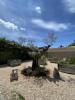 Acheter Prestige Maussane-les-alpilles Bouches du Rhone