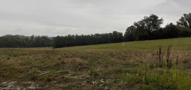 photo For sale Land JAYAT 01