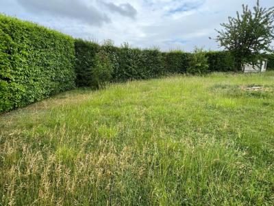 photo For sale Land BOULT-SUR-SUIPPE 51