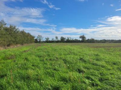 photo For sale Land TRANZAULT 36