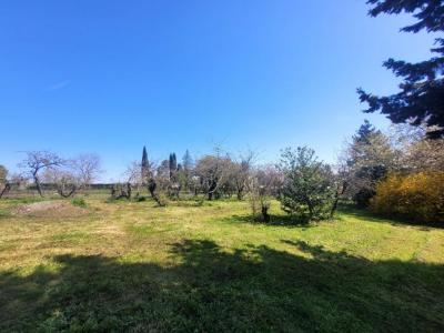 photo For sale Land ISSOUDUN 36