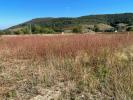 Land CHAPELLE-DE-GUINCHAY 